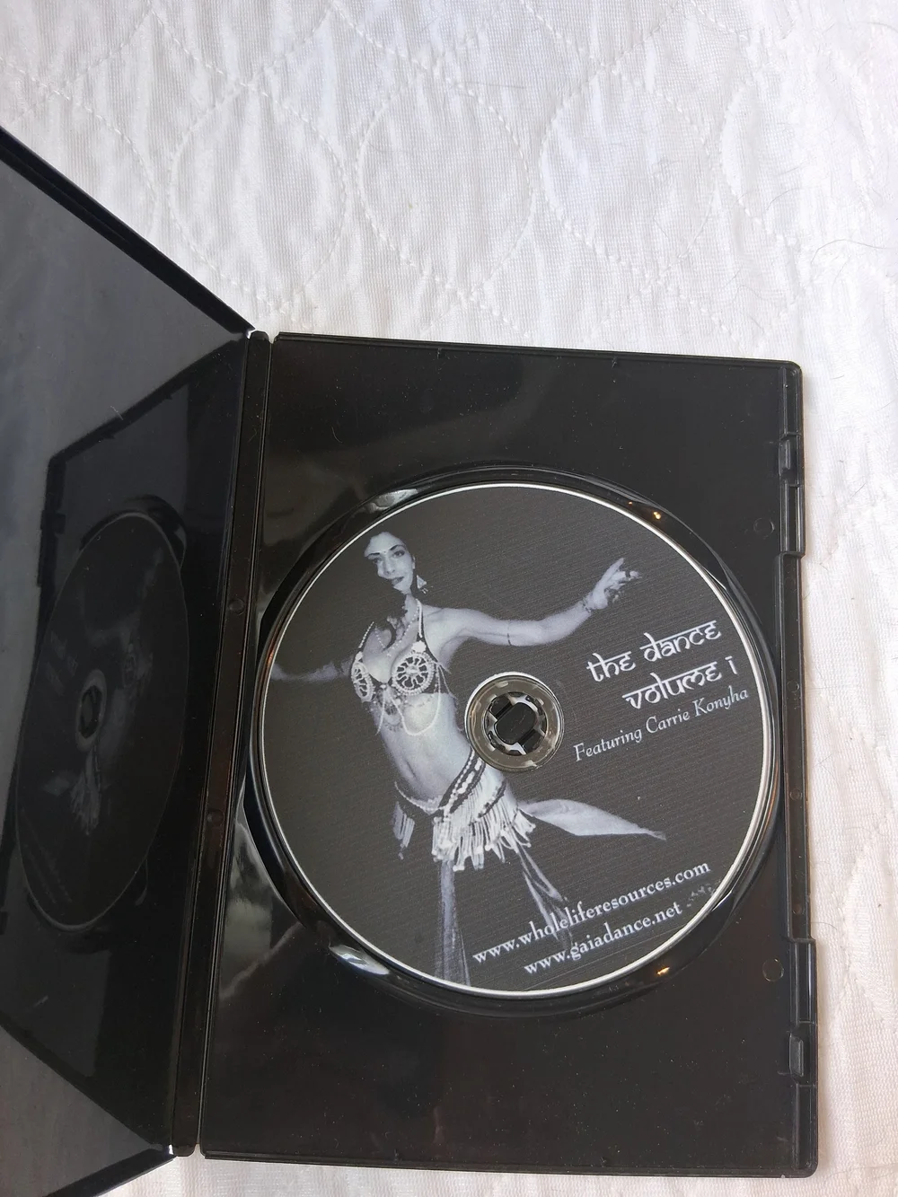 DreamDancer 'The Dance Volume 1' Instructional DVD